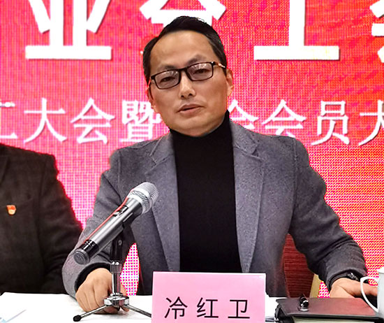 冷红卫副院长作报告 冷红卫副院长作报告