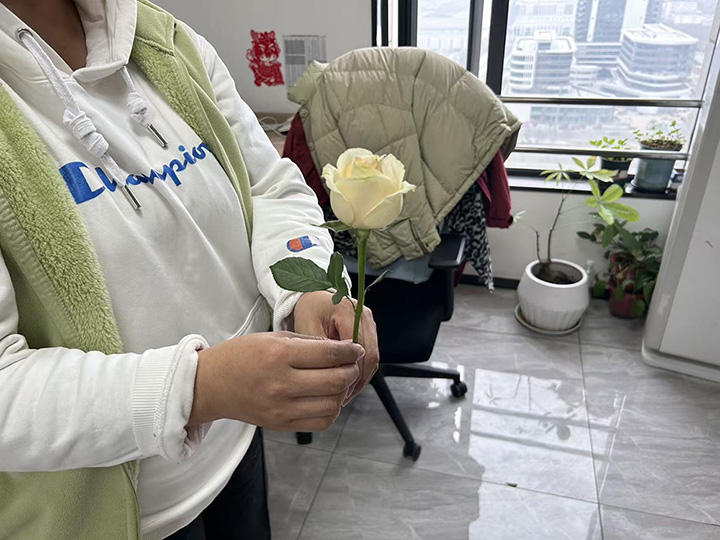 “普法护航，筑梦芳华”——三八节主题活动